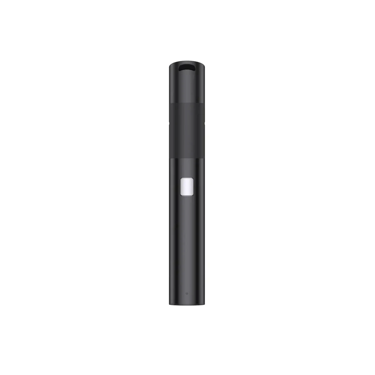 Voozr – P2 B Pen (Dry Herb)